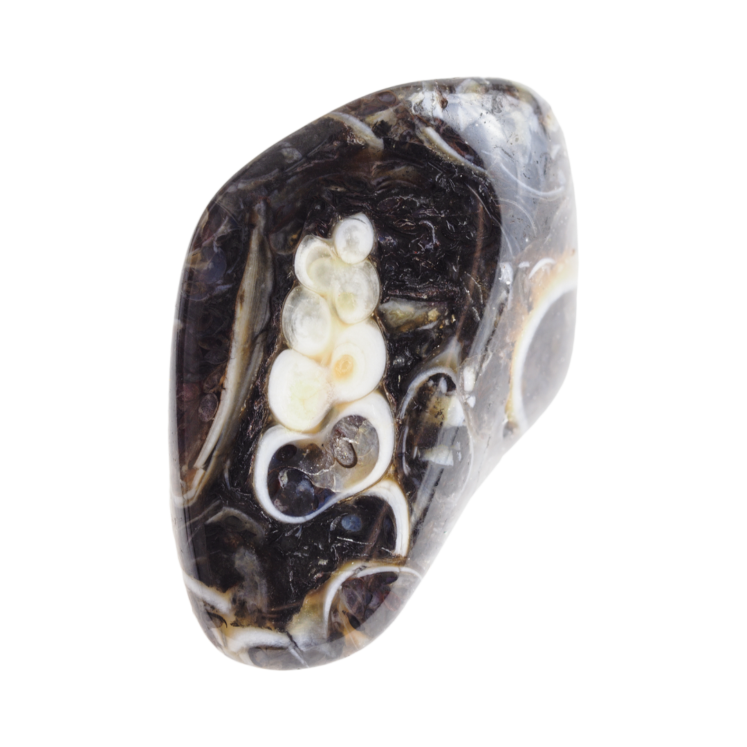 Agate Turitelle