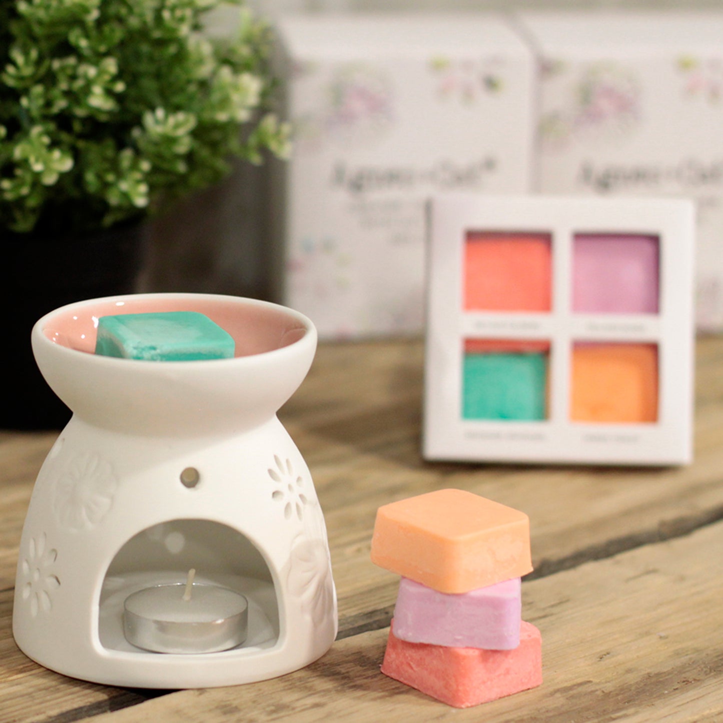 Brûleur à Cire avec Quatre fondants de Cires de Soja