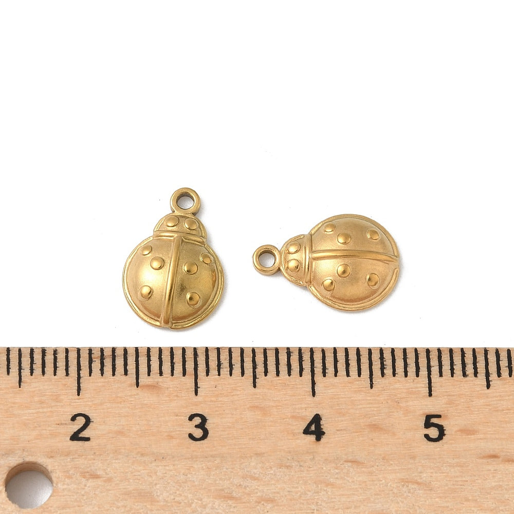Charm coccinnelle