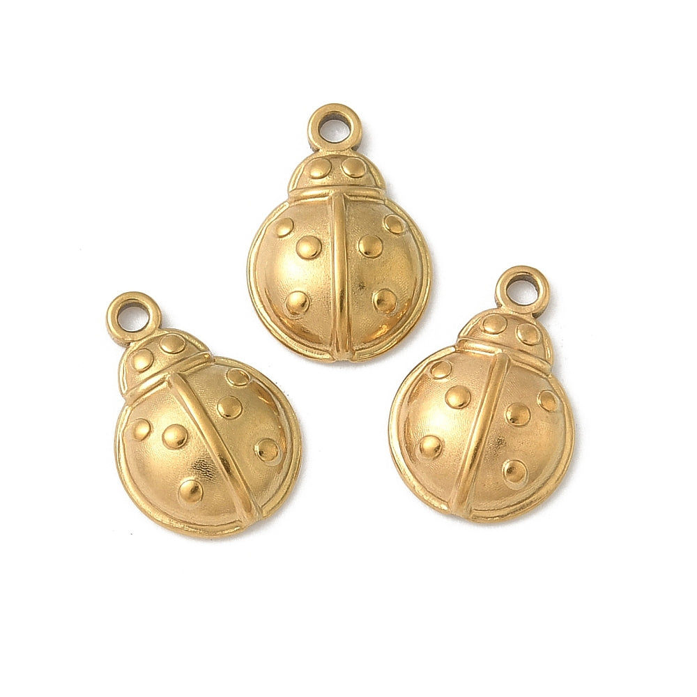 Charm coccinnelle