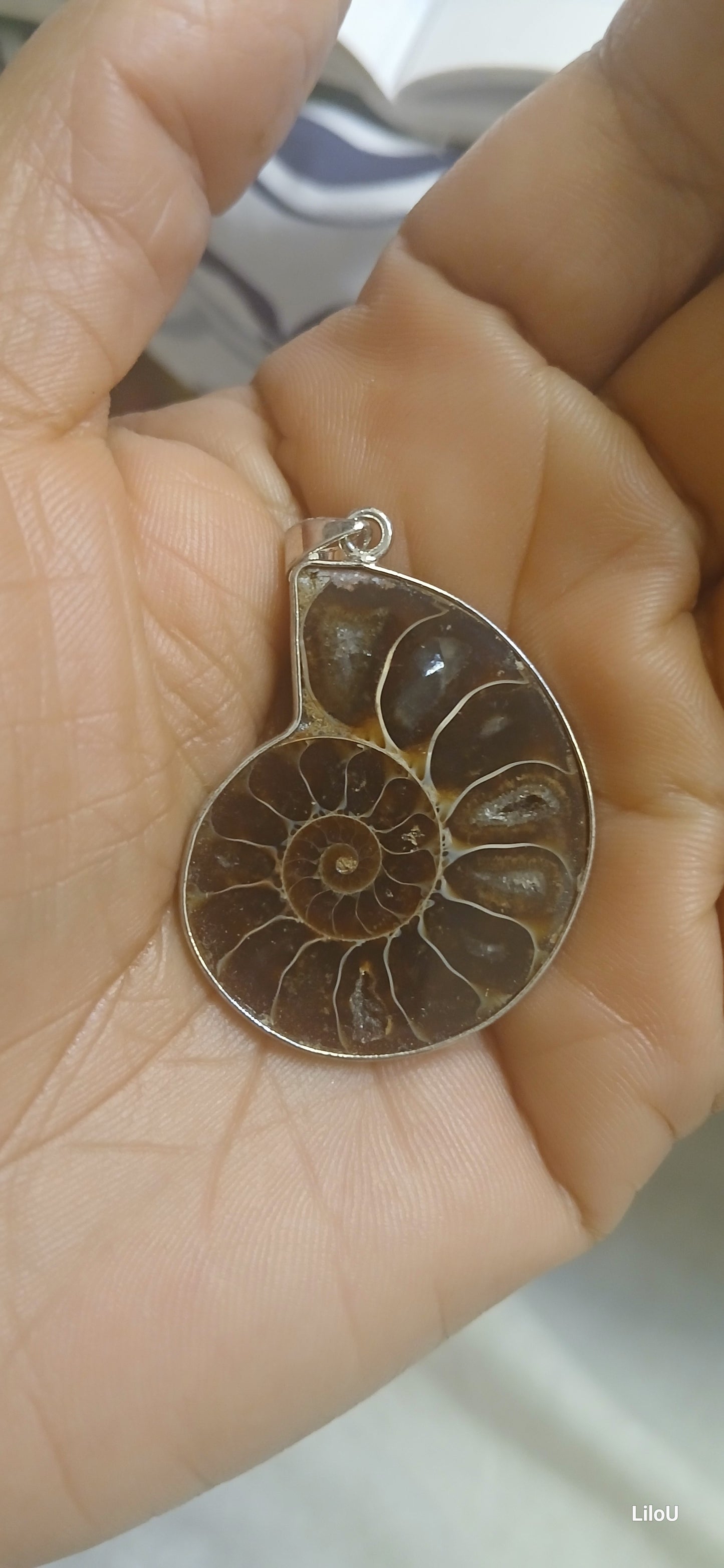 Ammonites Pend pierre roulée