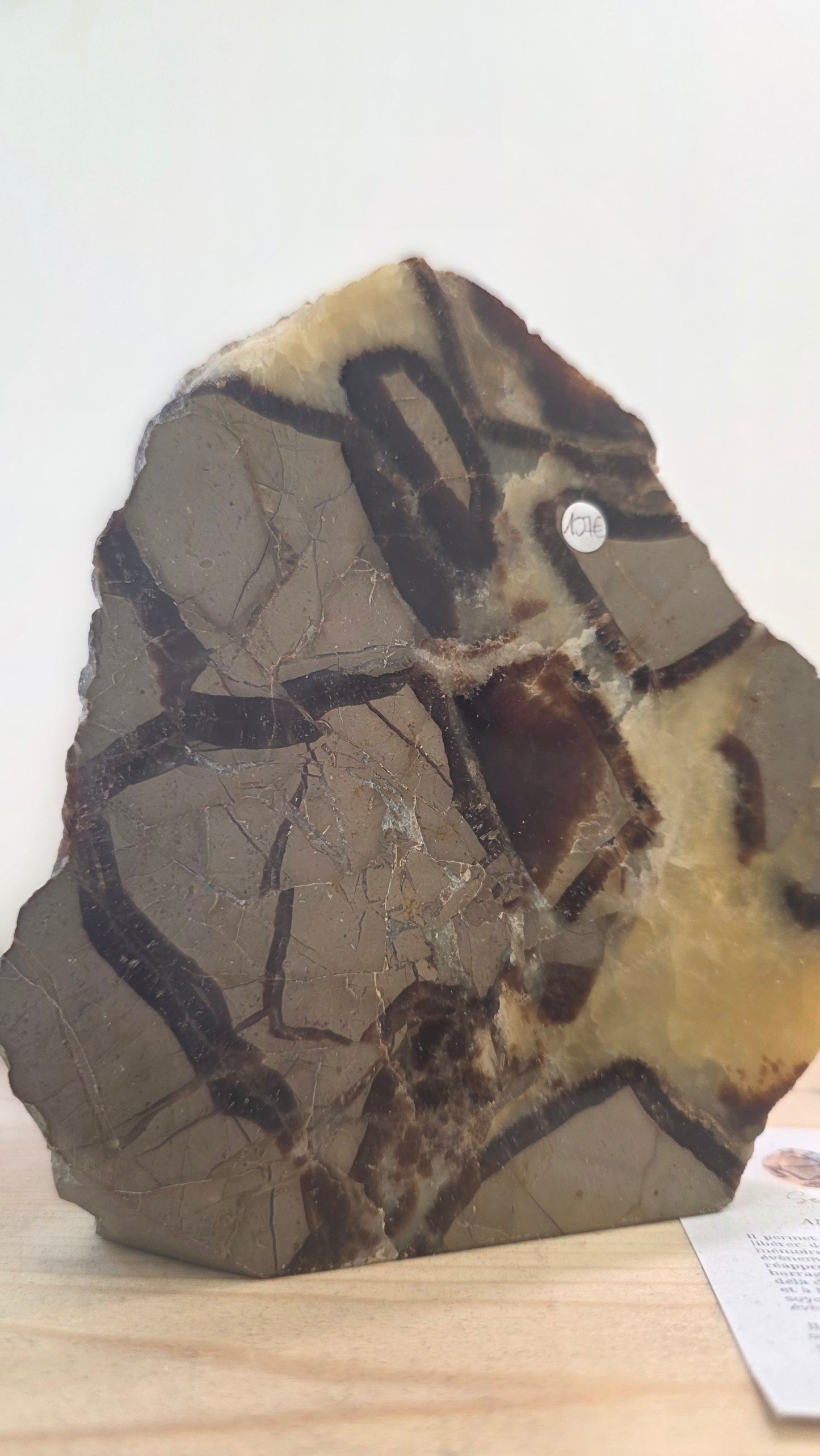 Septaria forme libre au 1€ les 10gr