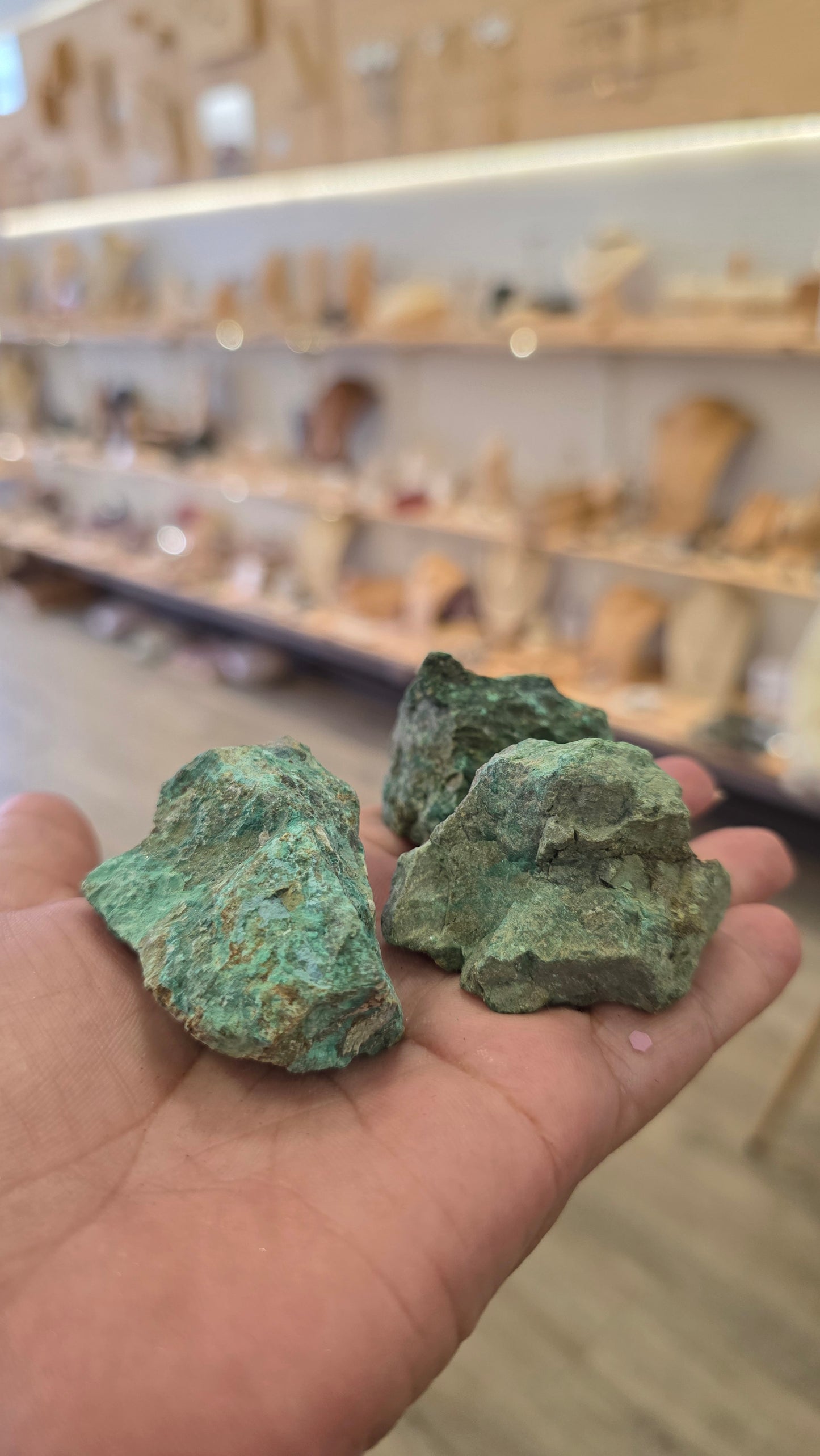 Chrysocolle brute