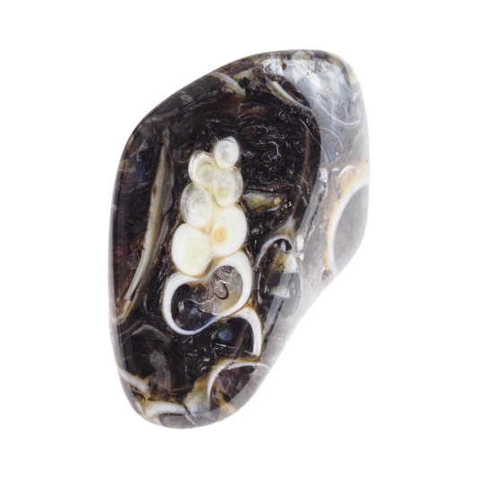 Agate Turitelle