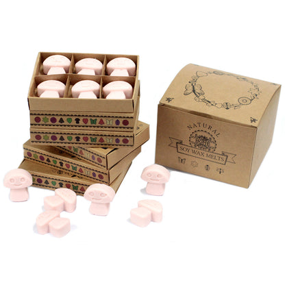 Boîte de 6 Fondants en Cire Soja - Bois de Santal Foncé