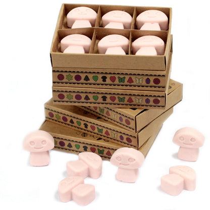 Boîte de 6 Fondants en Cire Soja - Bois de Santal Foncé