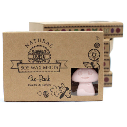 Boîte de 6 Fondants en Cire Soja - Bois de Santal Foncé