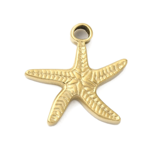 Charm -  étoile de mer à relief