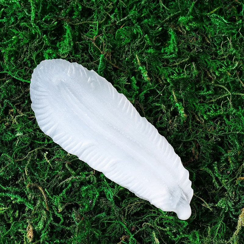 Plume sélénite