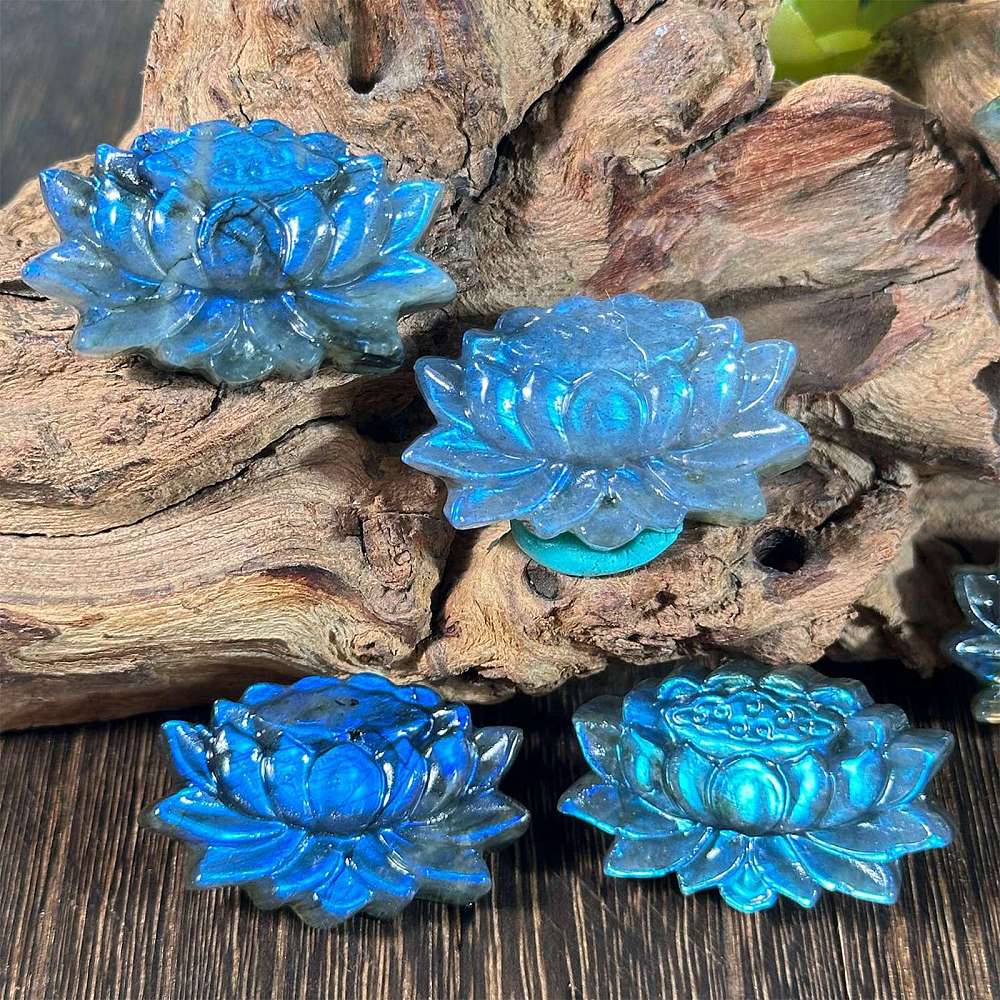 Lotus labradorite