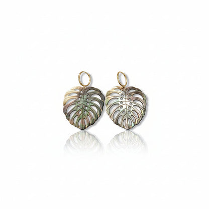 Boucle d'oreille - monstera nacre