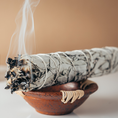 Sauge blanche fagot  30 GR