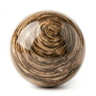Bois fossilisé