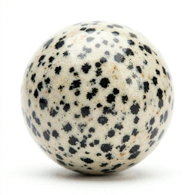 Jaspe dalmatien