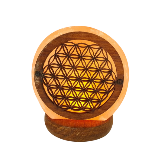 Lampe de Sel Himalaya brute  USB Fleur de vie