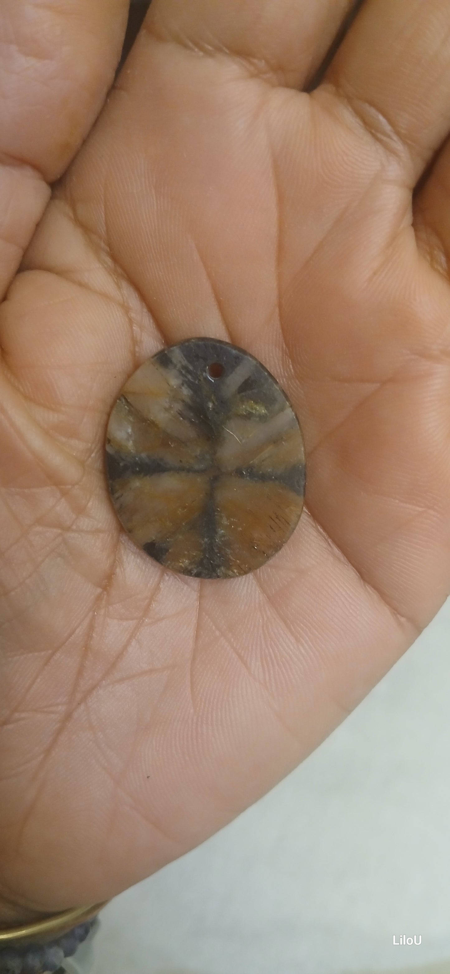 Chiastolite Pend