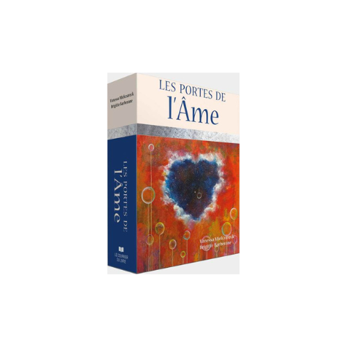 LES PORTES DE L'AME (COFFRET) - POUR REUSSIR SA MISSION DE VIE