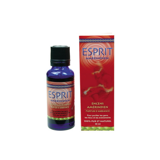 PARFUM D'AMBIANCE ESPRIT 30ML